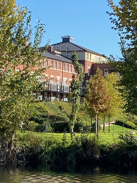 *IN THE LOOP April 2021*