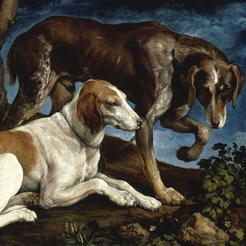 Two Hounds