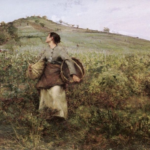 At Harvest Time