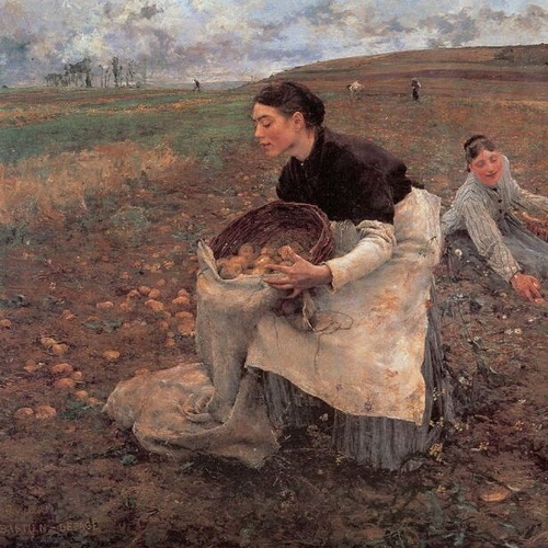 October, Gathering Potatoes