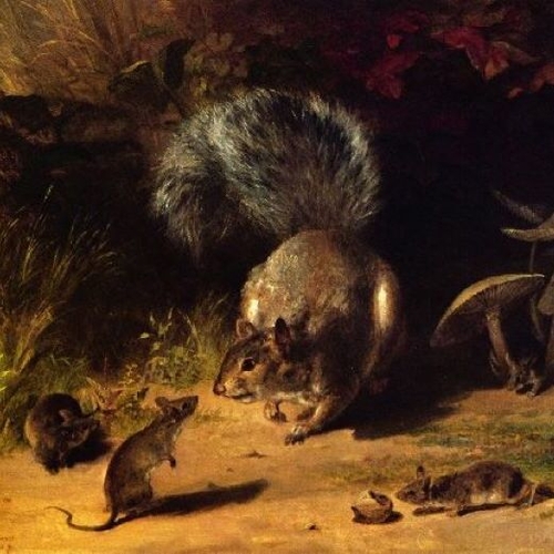 Squirrel and Mice