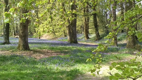 'Easter Joy' Photo competition winner!