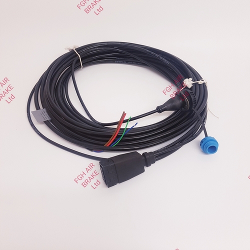 4496843130 Cable With Socket 10m