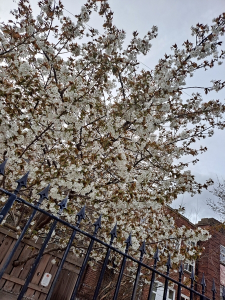 'Easter Joy' photo competition winner U14 category!