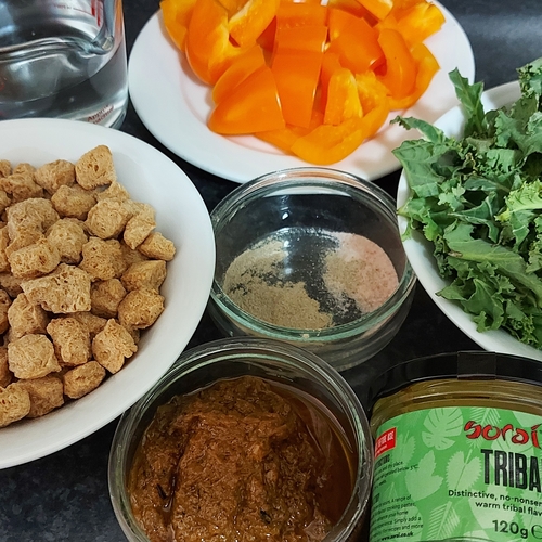 Tribal Soya Chunks with Veg Stir Fry