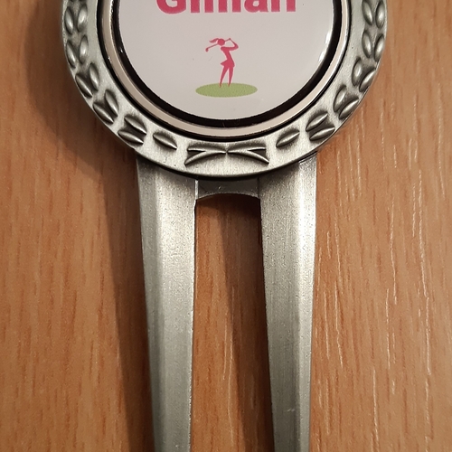 Personalised Pitchmark Repairer