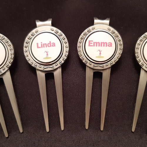 Personalised Pitchmark Repairer