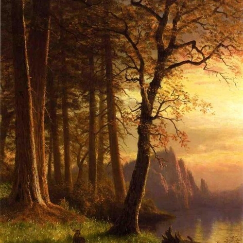 Sunset in California, Yosemite