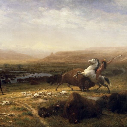 The Last of the Buffalo