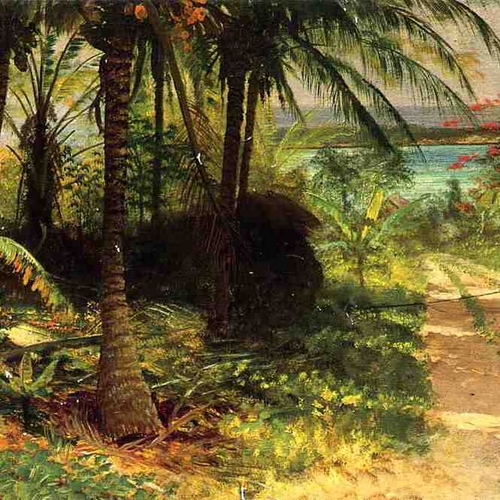 Tropical Landscape