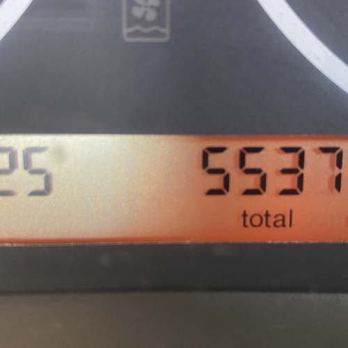 2004 Swift ACE Novella Capri Fiat Ducato 2.0JTD Motorhome 2 Berth 55377 Miles