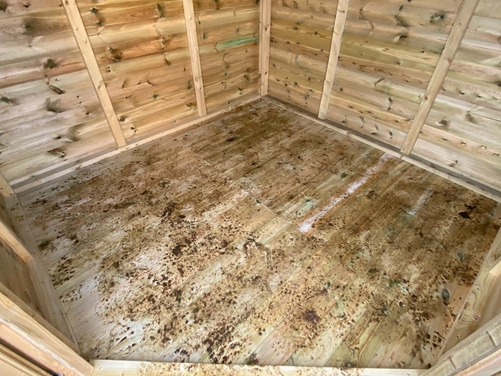 #010 8x8 Corner Shed