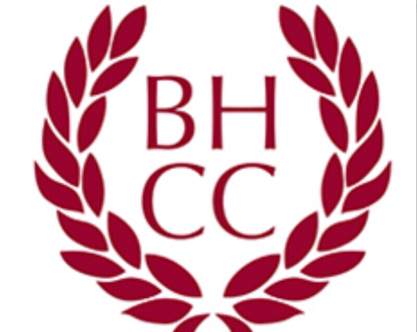 **Half term cricket camp**