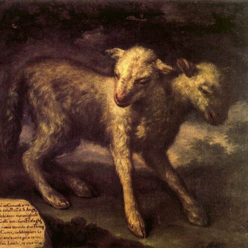 Two-Headed Lamb