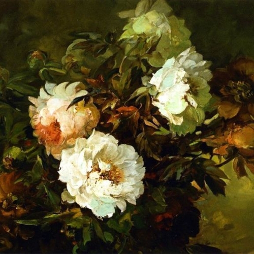 Peonies