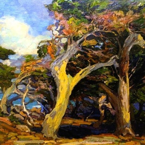 Windswept Twisted Cypress