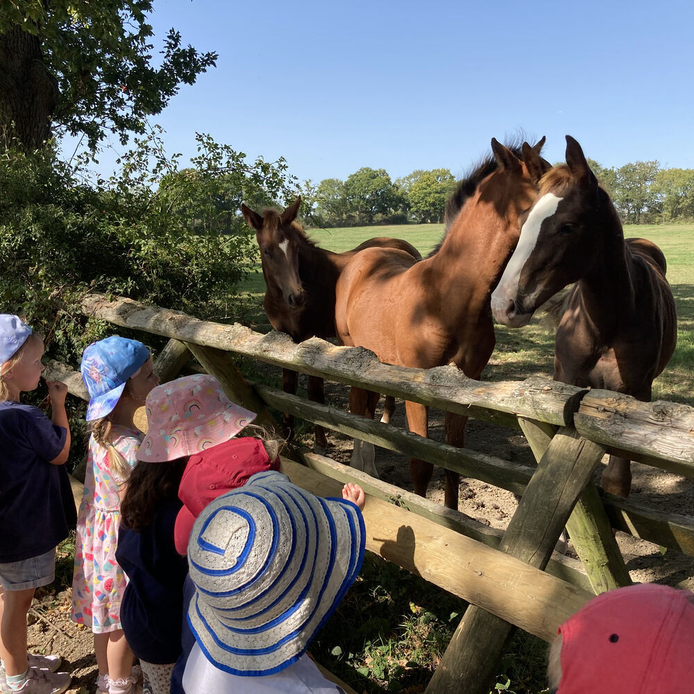 Preschool outdoor learning visit to see the horses