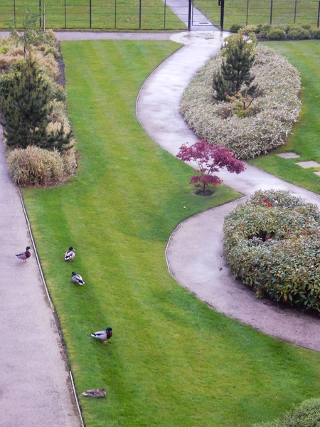 *DIG THIS June 2021*