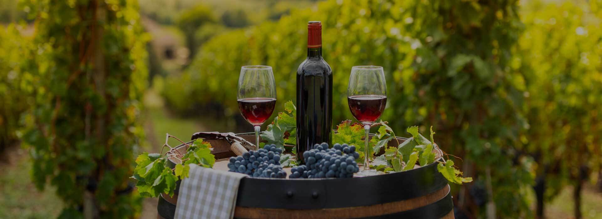 Wine masterclass presenter