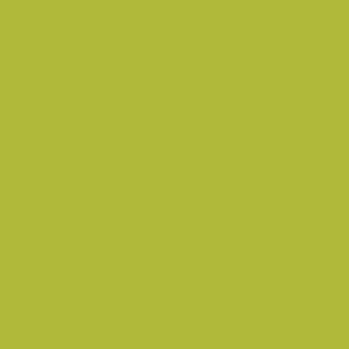 Avery Dennison® 814-01 - Wasabi Green
