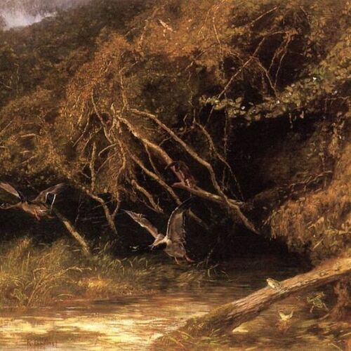 Forest with Ducks and Frogs