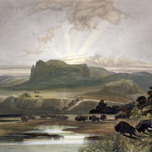 Herd of Bison on the Upper Missouri