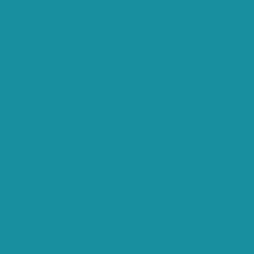 Avery Dennison® 742 - Teal