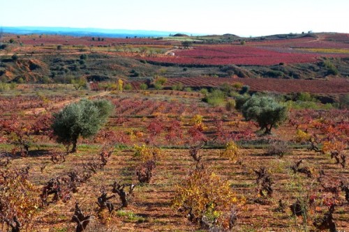 The Good, The Bad, And The Ugly