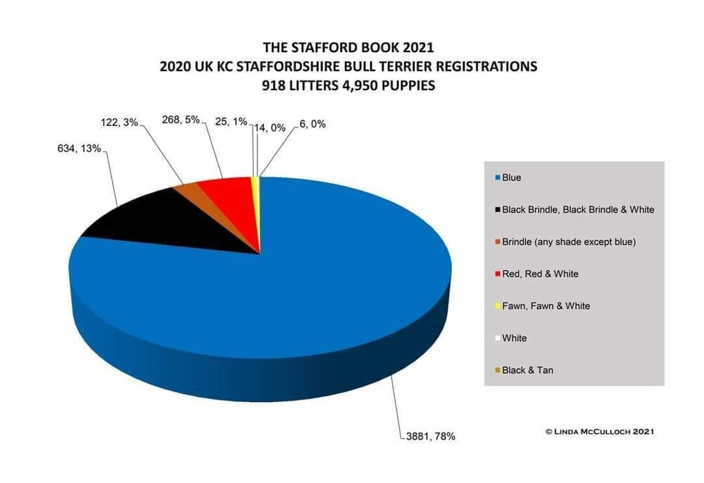 KC Registered Colour Statistics