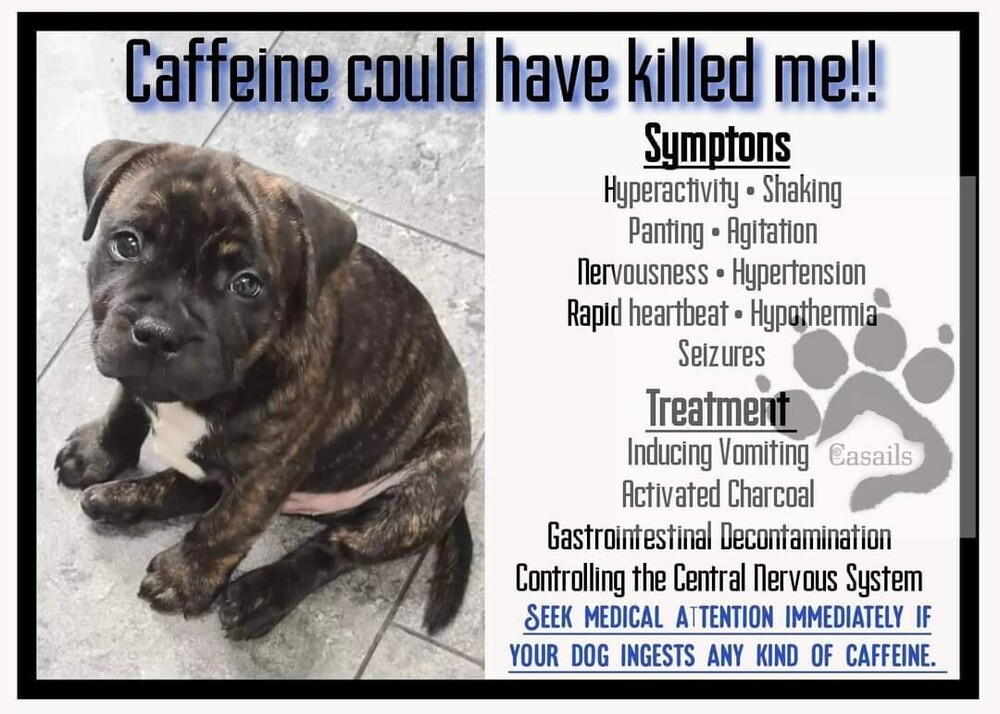The Dangers of Caffeine