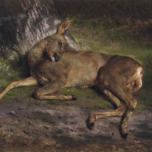 A Roe Deer in the Forest