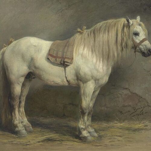 A White Horse