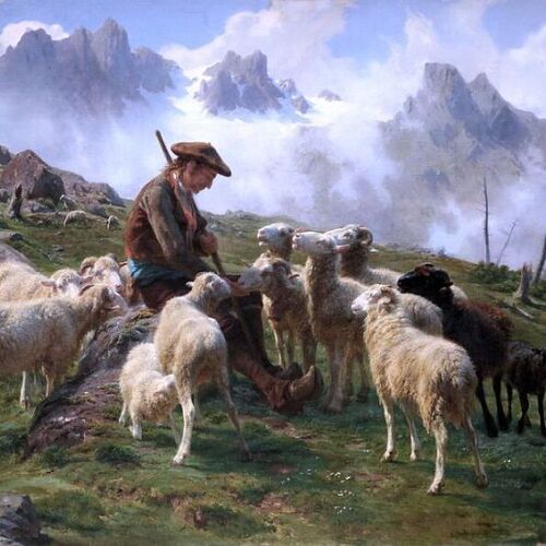 Berger des Pyrénées