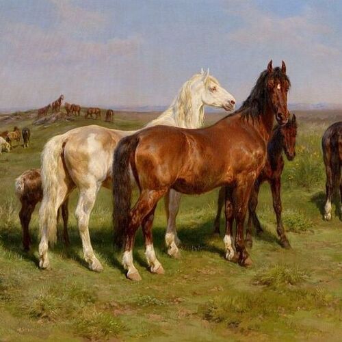 Horses in a Field