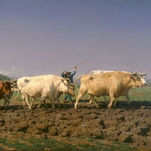 Ploughing in Nivernais