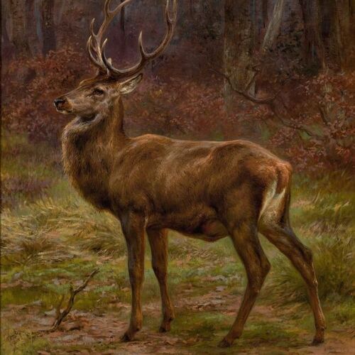 Stag in an Autumn Landscape