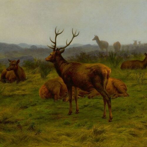 The Monarch of the Herd