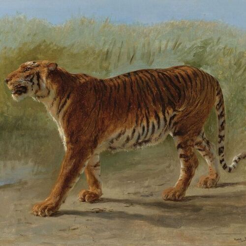 Royal Tiger, Marching