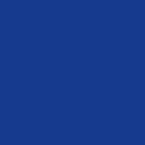 Avery Dennison® 777-052 - Ultramarine Blue