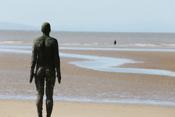 Letting Agents Liverpool - Landlords Seek Advice, You're Not Alone!