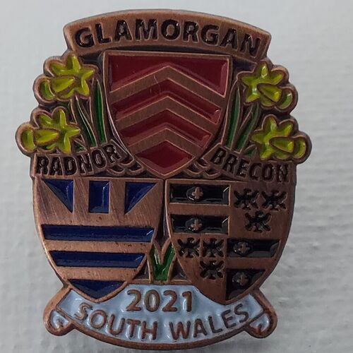 South Wales Festival Pin Badge