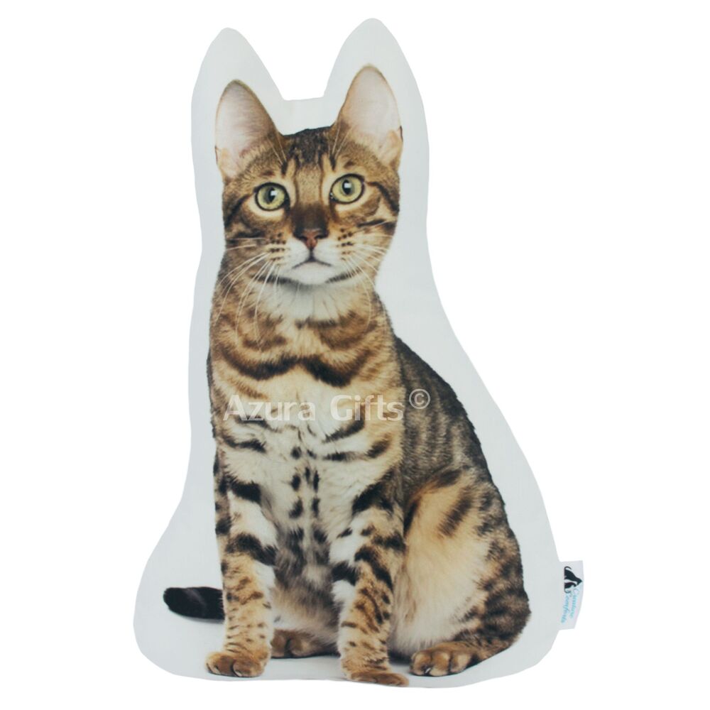 MEGA MYSTERY BOX - CAT THEMED