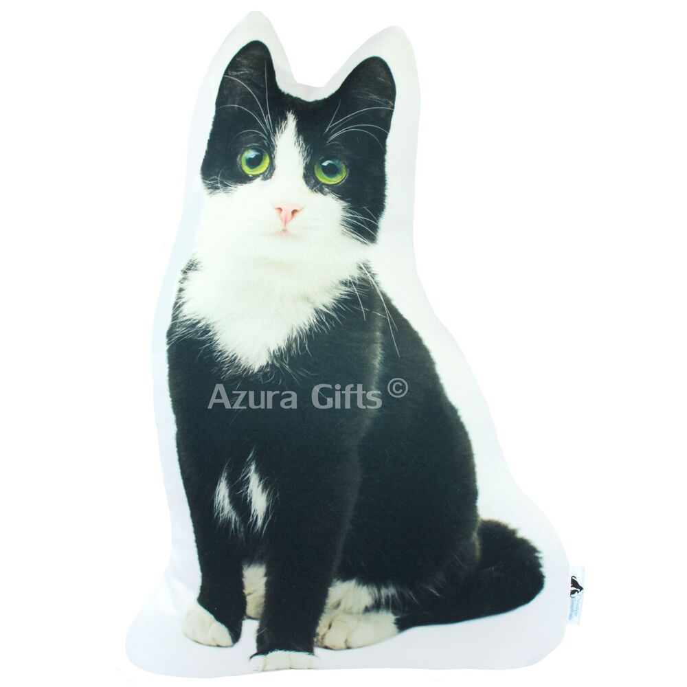 MEGA MYSTERY BOX - CAT THEMED