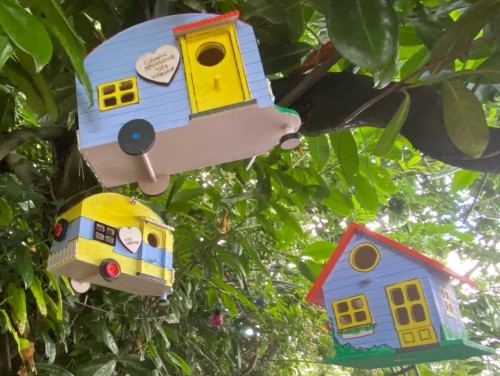 Strictly for the birds!