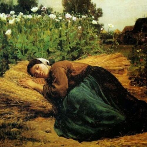 A Rest in the Fields