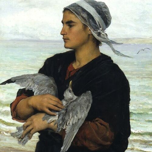 The Wounded Sea Gull