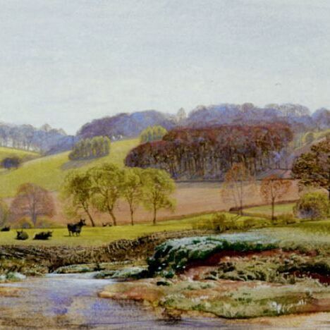 Springtime near Morden