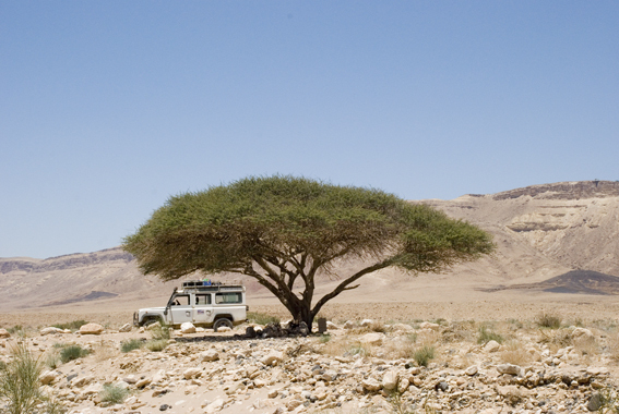 ...and that's how it ended