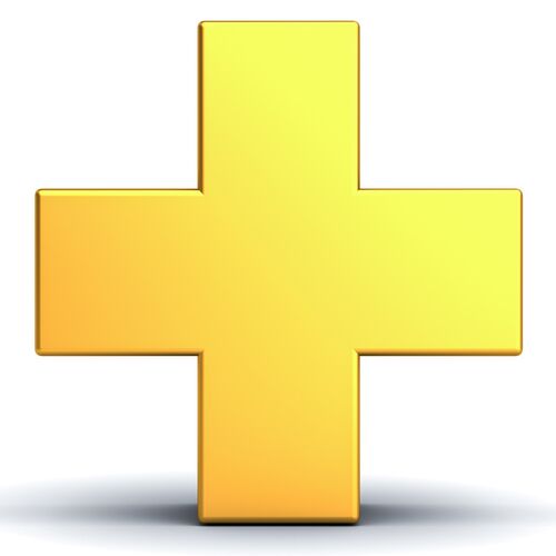 Gold Plus CV Package