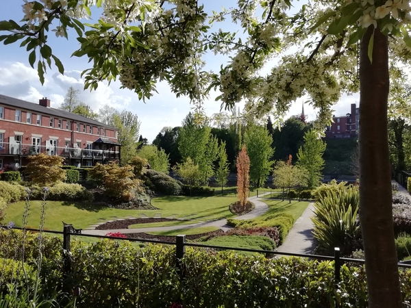 *DIG THIS AUGUST 2021*